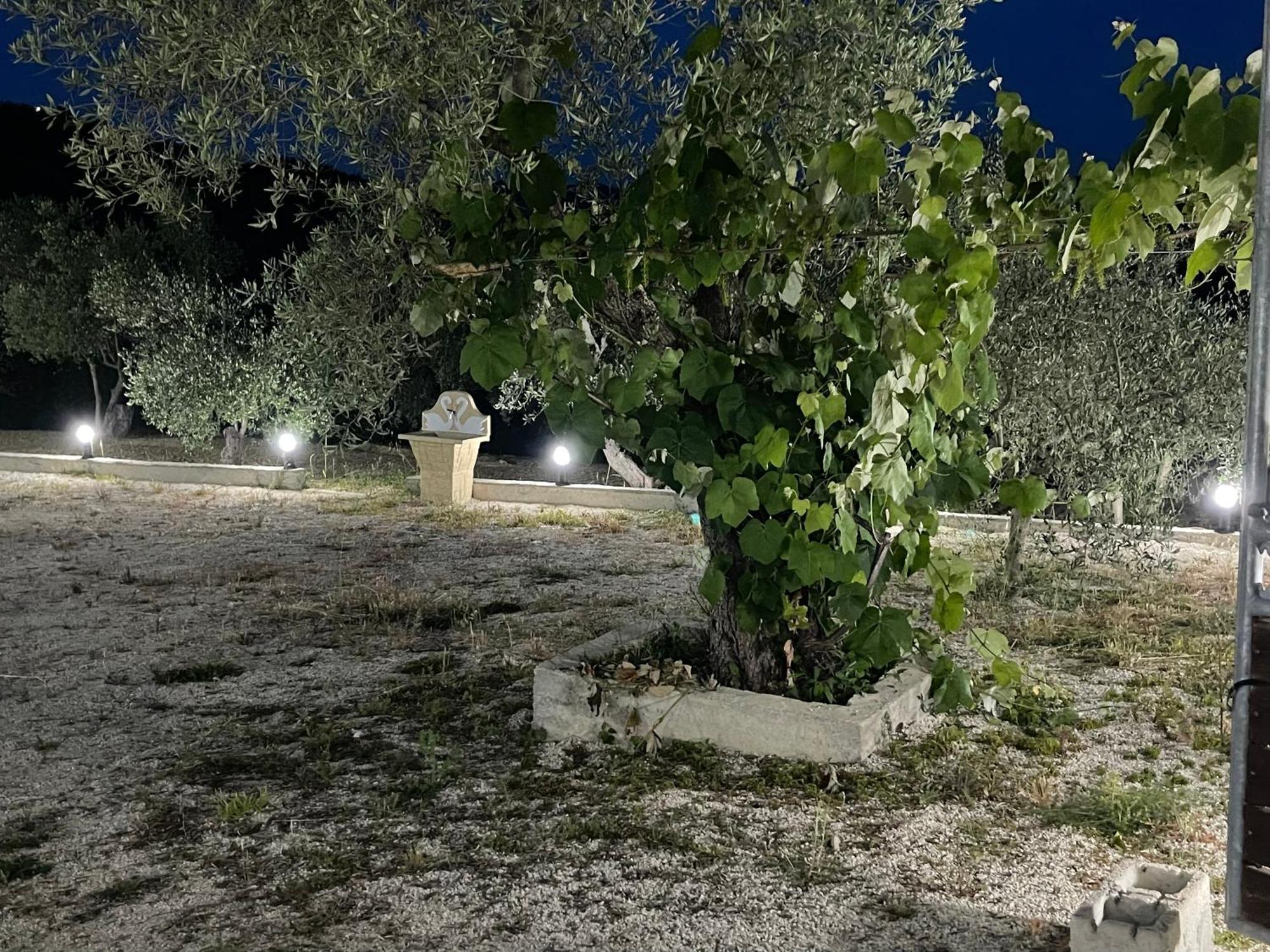 Affittacamere Luna Durrës